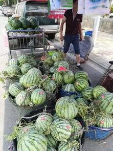 运城网红吃瓜事件视频,一场网络狂欢背后的真相揭秘