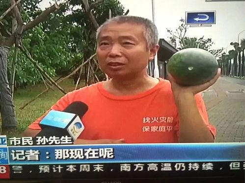 吃瓜网热门事件群,揭秘网络热点背后的真相与争议